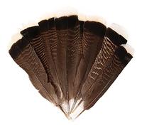 iHUFeather 20pcs Natural Wild Turkey Tails Feathers Quill Bulk 12-14inch 30-35cm for DIY Crafts Project Collection Wedding Decoration Wild Turkey Tails Feather
