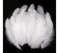 iHUFeather 600pcs White Feathers for Crafts 3-5inch Craft Feathers Bulk for Wedding Home Party, Dream Catcher Supplies and DIY Crafts