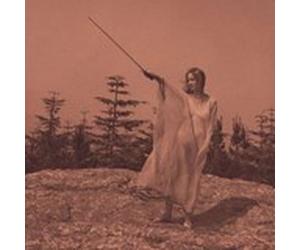 II by Unknown Mortal Orchestra Vinyl 12" Album