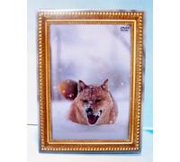 ƒŒƒIƒiƒ‹ƒhŒ¢ƒvƒŠƒI(‰‰ñ¶ŽYŒÀ’è”Õ) [DVD]