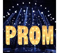 IINCOOY 4Ft Marquee Letters PROM Large LED Lighted Standing Number Big Light Up Foam Board Birthday Party Wedding Anniversary Shower Decor(100cm)