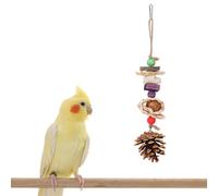 iiniim Beak Trimming Toy for Parrots Wood Chewer on Chain for Conure Cockatiel Parakeet Dental Health Type B One Size