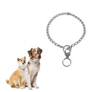 iiniim Dog Martingale Collar Stainless Steel Chain Pet No Pull Training Collar for Medium Dogs Heavy Duty Slip Choke Collars Silver 2.5mm*45cm