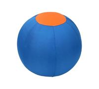 iiniim Herding Ball For Dogs And Horses Jolly Ball Agility Training Pet Toys With Pump Inflation Tool Blue One Size