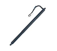 IITA Lift Support Power Electric Liftgate Tailgate Support Strut For BMW X3 F25 2011-2014 51247232003 51247432741 51247232004 51247432742 Power Liftgate(Onecolor)
