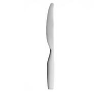 Iittala Citterio 98 dinner knife matte stainless steel