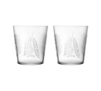 Iittala Taika Sato drinking glass 38 cl 2-pack Clear
