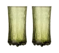 Iittala Ultima Thule champagne glass Finnish sand 18 cl 2-pack Green