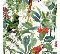 World of Wallpaper Ikala Tropical Birds Parrots Wallpaper Ideal for Bedrooms, Lounges, Dining Rooms and Hallways