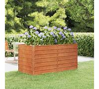 IKAYAA Raised beds for garden vegetables Metal Raised Bed Garden Raised Bed Rusty Galvanised Steel Outdoor Planters Garden Planter for Herb Growing Fruits Flower-160 x 80 x 77 cm