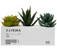 IKEA 203.953.31 FEJKA Mini Artificial Succulent Desk Plants in Pots 6 Centimetres (3 Pack)