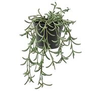 IKEA FEJKA Artificial Potted Plant, 9 cm, in/Outdoor/String of Bananas Hanging