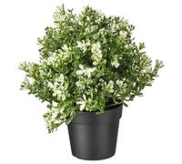 IKEA FEJKA Artificial Potted Plant, 9 cm, Thyme