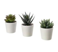IKEA Fejka Artificial Potted Plant with Pot Indoor Outdoor Succulent / 3 Pack Size 2 ¼ " 3 Pack 203.953.31