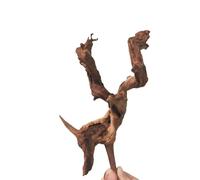 IKFGTJRE Aquarium Driftwood Drift Wood Aquarium Wood Big Large Driftwood Aquarium Fish Tank Tree Trunk Aquarium Wood Extra Large For Home(25-30cm-4pcs)