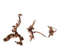 IKFGTJRE Aquarium Driftwood Driftwood Home Décor 5/20/30CM Coral Wood Climber Reptile Lizard Cork Pet Decoration Drift Wood Fish Tank Driftwood Tree(5-20cm-3pcs Mix)