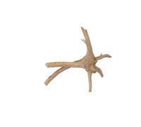 IKFGTJRE Aquarium Driftwood Driftwood Tree Trunk 1PC Micro Landscape Reptile Cylinder Fish Tank Ornament Aquarium Decoration Cuckoo Roots Dead-wood(10-15cm)