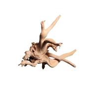 IKFGTJRE Aquarium Driftwood Driftwood Tree Trunk 1PC Micro Landscape Reptile Cylinder Fish Tank Ornament Aquarium Decoration Cuckoo Roots Dead-wood(30-40cm)