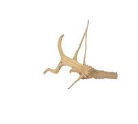 IKFGTJRE Aquarium Driftwood Driftwood Tree Trunk 1PC Micro Landscape Reptile Cylinder Fish Tank Ornament Aquarium Decoration Cuckoo Roots Dead-wood(15-20cm)