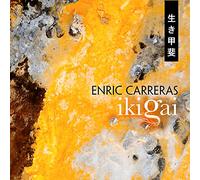 Ikigai R