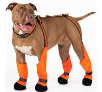 IKIPUKO Dog Suspenders Boots, Winter Snow Shoes for Large Dogs, Waterproof Dog Boots for Rain Mud, Anti-Slip Stay-On for Active Dogs, Adjustable Reflective Paw Protector for Walking Hiking, XL Orange