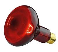 IL 11 replacement bulb