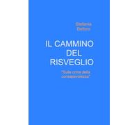 IL CAMMINO DEL RISVEGLIO