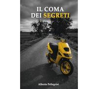 Il coma dei segreti: Un romanzo sull'amicizia, sull'amore e sul momento in cui tutto cambia (IL LABIRINTO)