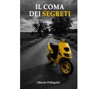 Il coma dei segreti: Un romanzo sull'amicizia, sull'amore e sul momento in cui tutto cambia (IL LABIRINTO)