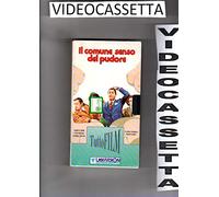 Il Comune Senso Del Pudore