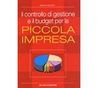 Il controllo di gestione e il budget per la piccola impresa.