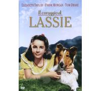 Il coraggio di Lassie