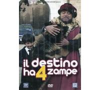 Il Destino Ha 4 Zampe