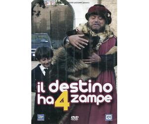 Il Destino Ha 4 Zampe