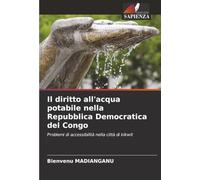 Il diritto all'acqua potabile nella Repubblica Democratica del Congo: Problemi di accessibilità nella città di kikwit