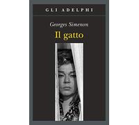 Il gatto