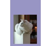 Il Gatto che sognava le Stelle volume 2: Un racconto per bambini e famiglia, tra mare, stelle e fantasia