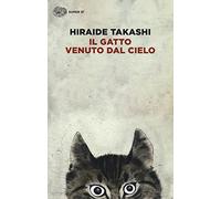 Il gatto venuto dal cielo