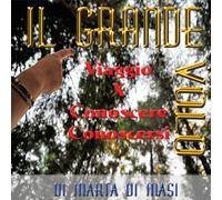 Il grande volo (Youcanprint Self-Publishing)