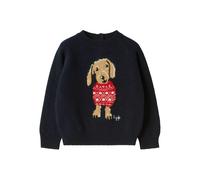 Il Gufo dachshund sweater - Blue 2-6