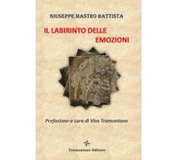Il Labirinto delle Emozioni