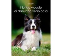 Il lungo viaggio di Nabucco verso casa