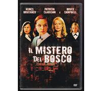 Il mistero del bosco