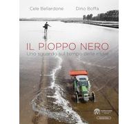 Il pioppo nero. Uno sguardo sul tempo delle risaie