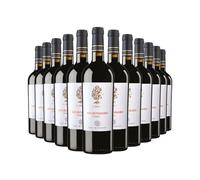 Il Pumo Negroamaro IGP Salento | 13.5% ABV | San Marzano | Vegan Italian Red Wine | 12 x 75cl Bottles