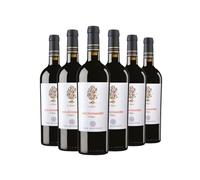 Il Pumo Negroamaro IGP Salento | 13.5% ABV | San Marzano | Vegan Italian Red Wine | 6 x 75cl Bottles