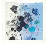 IL QUADRO DI TROISI - La Commedia - Vinyl (LP)