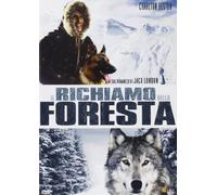 Il Richiamo Della Foresta