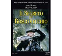 il segreto del bosco vecchio DVD Italian Import