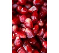 IL SEME DELLA VITA: Dal buio della terra alla luce della coscienza (Risonanze e Somiglianze)